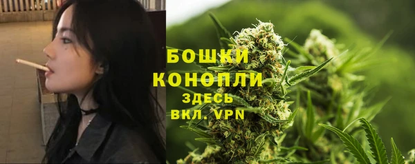 твердый Дмитриев