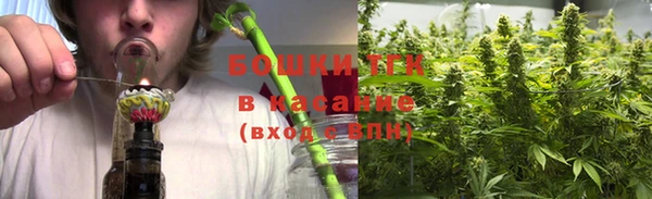 молекула духа Усинск