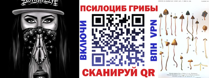 Галлюциногенные грибы Psilocybine cubensis  купить   ОМГ ОМГ зеркало  Зеленоградск 